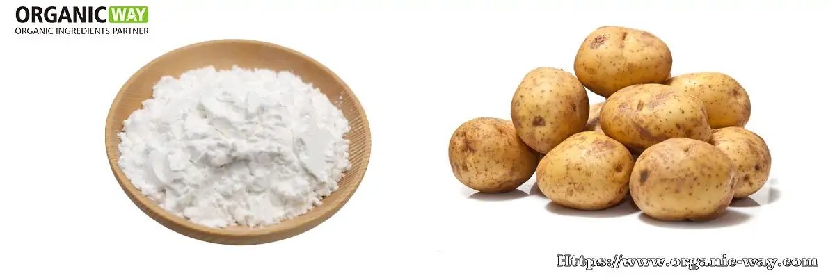 Organic Potato Starch Powder organic potato starch
