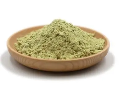 organic pumpkin protein