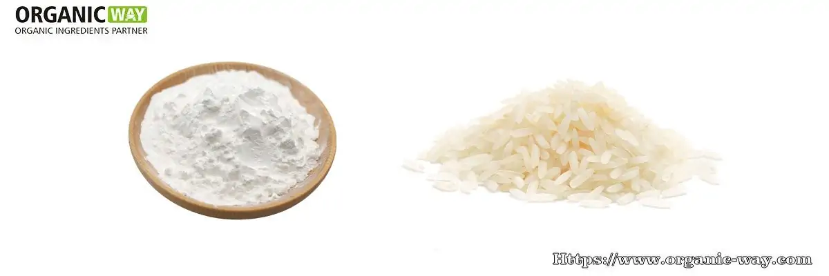 Organic Rice Starch organic rice starch