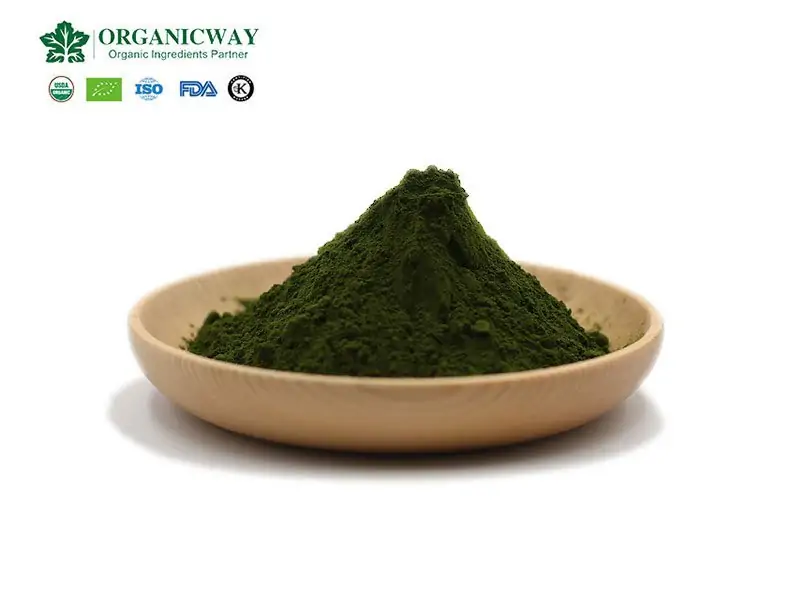 Chlorella, An Edible Emerald Gifted By Nature Chlorella Powder