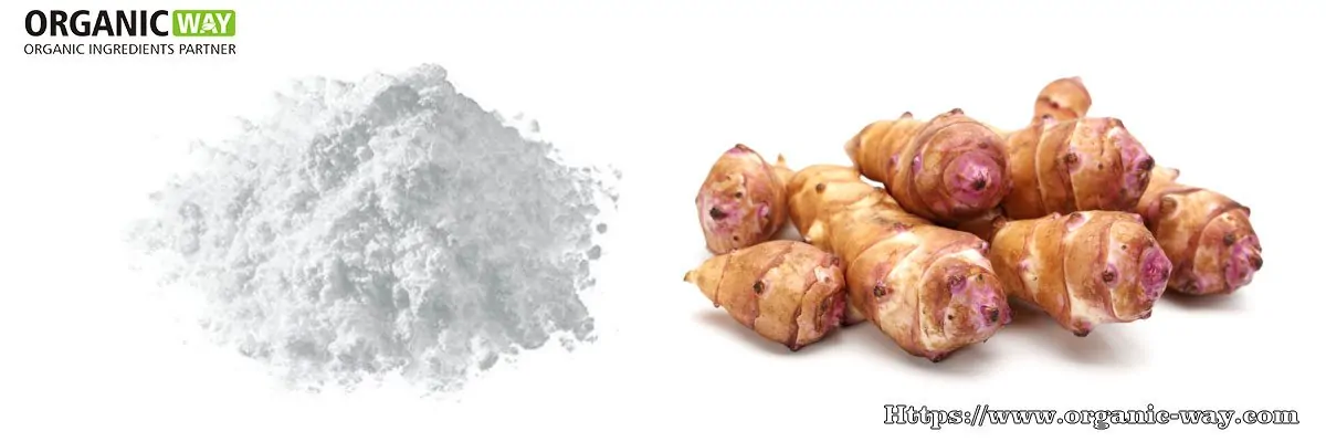 Organic Fructooligosaccharides organic-fructooligosaccharide-powder