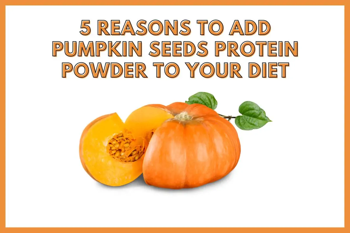 5 Reasons To Add Pumpkin Seeds Protein Powder To Your Diet 5 Reasons To Add Pumpkin Seeds Protein Powder To Your Diet
