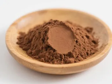 organic reishi mushroom powder